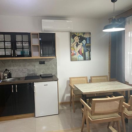 Alexandar Studio Apartman Mokra Gora Kültér fotó