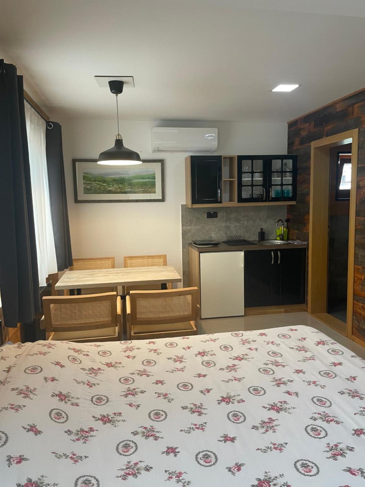 Alexandar Studio Apartman Mokra Gora Kültér fotó